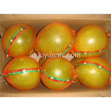 Hotsale Pomelo Segar dengan Selera yang Baik